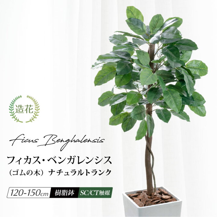 楽天市場】フェイクグリーン 人工 観葉植物 天然木使用 大型 光触媒 