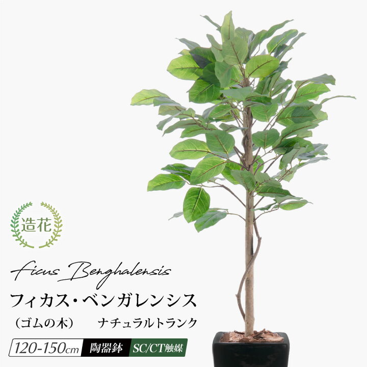 楽天市場】フェイクグリーン 人工観葉植物 天然木使用 大型 光触媒  