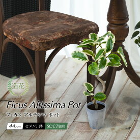 フェイクグリーン 卓上 観葉植物 ベンジャミン セメントポット 光触媒 CT触媒 消臭 抗菌 鉢植 おしゃれ インテリア 北欧 [fd][nnf][rcp] / フィカス アルテシマ ポット 44cm