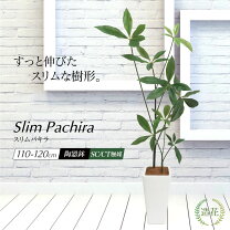 楽天市場】フェイクグリーン パキラ（花・観葉植物｜花・ガーデン・DIY 