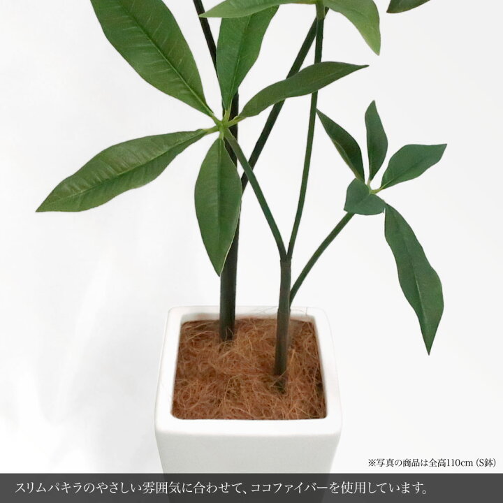 楽天市場】フェイクグリーン 観葉植物 パキラ 大型 スリム 光触媒 CT 