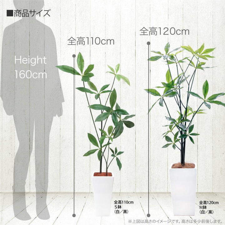 楽天市場】フェイクグリーン 観葉植物 パキラ 大型 スリム 光触媒 CT  