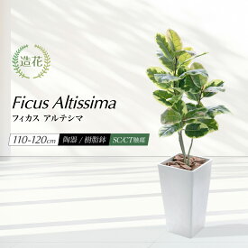 フェイクグリーン 観葉植物 フェイク 人工観葉植物 大型 光触媒 CT触媒 消臭 抗菌 リアルタッチ ゴムの木 ラバープラント 鉢植 インテリア おしゃれ アルティシマ アルテシーマ 風水 お祝い 開店 開業祝い [fd][rcp] / フィカス アルテシマ 110cm 125cm