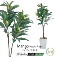 【お買い物マラソン限定 10%OFFセール】フェイクグリーン マンゴー 人工観葉植物 リアル 大型 トロピカル…