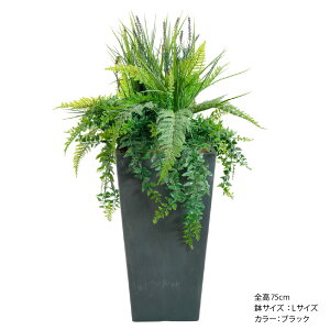 tFCNO[ ϗtA tFCN lHϗtA A ~bNXOX x_[ G} CTG} A CeA  L R j JXj JƏj Vzj 蕨 / ~b