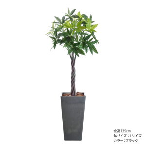 tFCNO[ lHϗtA ^ G} ˂pL pL ˂˂ ҂ݍ A ϗtA tFCN ` lH   CeA  CTG} L R j 蕨 