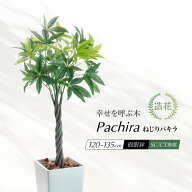【お買い物マラソン限定 10%OFFセール】フェイクグリーン 人工観葉植物 大型 光触媒 ねじパキ パキラ ね…