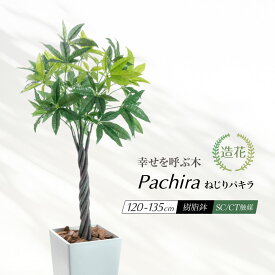 フェイクグリーン 人工観葉植物 大型 光触媒 ねじパキ パキラ ねじねじ 編み込み 鉢植え 観葉植物 フェイク 樹形 人工樹木 造花 樹脂鉢 インテリア おしゃれ CT触媒 消臭 抗菌 お祝い 贈り物 人気 お得 縁起物 ねじりパキラ 120cm 125cm 135cm [nnf] [fd] [rcp]