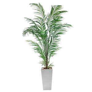 tFCNO[ ^ 2m lHϗtA AJV V̖ G} CTG} L  rO 傫 { A  썑 gsJ CeA ItBX j JXj 