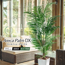 ＼10%OFFクーポンあり／ フェイクグリーン 大型 2m 人工観葉植物 アレカ ヤシの木 光触媒 CT触媒 消臭 おしゃれ 大きい 本物そっくり リアル 造花 インテリア オフィス お祝い 開店祝い 送料無料 あす楽 / アレカパーム DX デラックス 195cm 樹脂鉢Lサイズ
