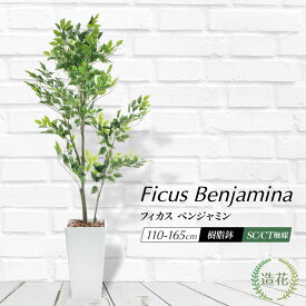 ＼10%OFFクーポンあり／ フェイクグリーン 大型 人工観葉植物 おしゃれ 光触媒 本物そっくり リアル 造花 インテリア 消臭 抗菌 大きい パーテーション リビング お祝い 開店祝い 鉢植え 送料無料 / フィカス ベンジャミン 110cm 165cm