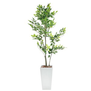 tFCNO[ ^ ϗtA tFCN O[ lHϗtA  G} { A  CeA L R IV 傫 p[e[V rO j JXj