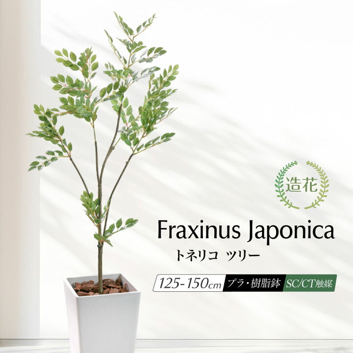 楽天市場】フェイクグリーン 人工観葉植物 リアル 大型 鉢植 造花 樹脂 