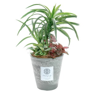 tFCNO[ Xe bJ 񂹐A  ~j ^ L |bg A  lHϗt  MѐA CeA G} CTG}  gsJ 썑 nC vcMU