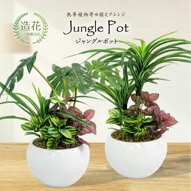 フェイクグリーン モンステラ ユッカ 寄せ植え 卓上 ミニ 消臭 ポット リアル 造花 人工観葉 多肉 熱帯植物 インテリア 光触媒 CT触媒 おしゃれ トロピカル 南国 ハワイ プレゼント 贈り物 お祝い プランツギャザリング [fd][rcp] / ジャングルポット モンステラ・ユッカ