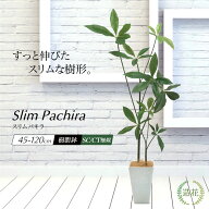 ＼10%OFFクーポンあり／ フェイクグリーン 観葉植物 パキラ 大型 スリム 光触媒 CT触媒 本物そっくり 人…
