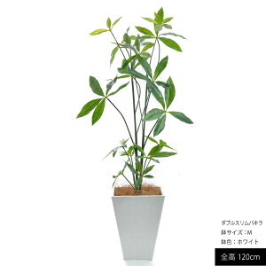 tFCNO[ ϗtA pL ^ X G} CTG} { lHϗtA  A  CeA IV k FRP  L R rO lH A  