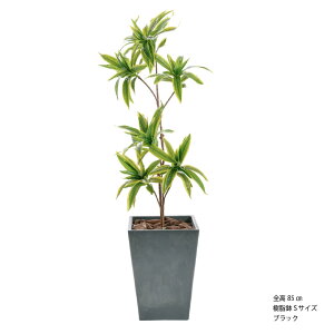 _10%OFFN[|^ tFCNO[ lHϗtA { ^ A  G}   CeA   L R IV  j rO j JXj