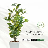 【楽天スーパーセール限定 20%OFF】フェイクグリーン 観葉植物 フェイク 人工観葉植物 リアル 造花 大型 …
