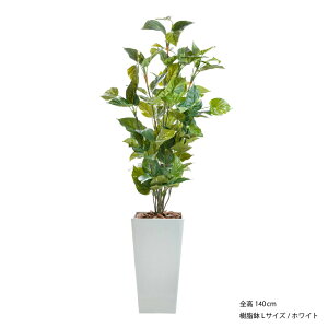 tFCNO[ ϗtA tFCN lHϗtA A  ^ x̎ |gXvg 125cm 130cm 140cm G} A t CeA  CTG} L R j [rcp]