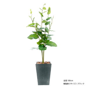 _10%OFFN[|^ tFCNO[ lHϗtA ^ G} L R  Ex[^   A t rO  CTG} A k j JXj JƏj 