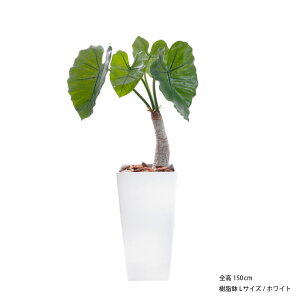 tFCNO[ ϗtA tFCN lHϗtA A  ^ A  CTG}H AJVA CeA lH G} [rcp] / NYC 85cm 95cm 105cm