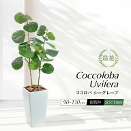 フェイクグリーン ウンベラータ 人工観葉植物 大型 光触媒 消臭 抗菌 風水 おしゃれ リビング 大きい 鉢…