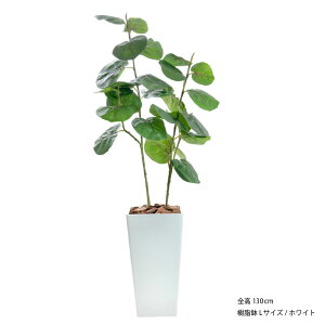 tFCNO[ ϗtA Ex[^ lHϗtA ^ G} L R   rO 傫 A t CTG} A CeA k  j JXj Vzj 