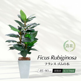 フェイクグリーン 観葉植物 フェイク 人工観葉植物 リアル 造花 フランスゴムの木 ラバープラント 85cm 90cm 鉢植 樹脂鉢 CT触媒 インテリア 光触媒 CT触媒 消臭 抗菌 インテリア 花言葉 永遠の幸せ 大切な人の幸せ 贈り物 プレゼント [rcp]
