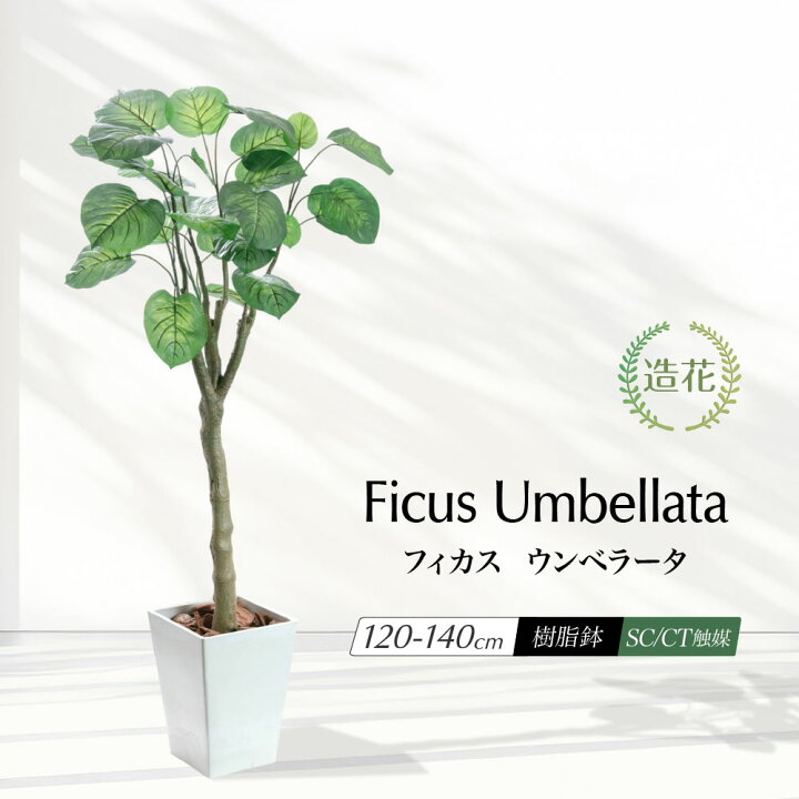 楽天市場】フェイクグリーン ウンベラータ おしゃれ 人工観葉植物 