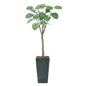 tFCNO[ Ex[^  lHϗtA G} L R  ^ CeA AeB[N 킢 IV  X A  k A CTG} { 