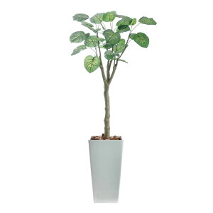 tFCNO[ Ex[^  lHϗtA G} L R  ^ CeA AeB[N 킢 IV  X A  k A CTG} { 