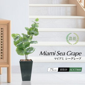 フェイクグリーン 観葉植物 フェイク 人工観葉植物 リアル 造花 大型 鉢植 樹脂鉢 CT触媒 ハマベブドウ ウンベラータ インテリア 人工観葉植物 光触媒 / マイアミ シーグレープ 75cm [rcp]