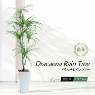フェイクグリーン 観葉植物 フェイク 人工観葉植物 リアル 造花 大型 幸福の木 鉢植 樹脂鉢 光触媒 CT触…