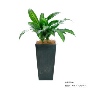 フェイクグリーン 観葉植物 フェイク 人工観葉植物 大型 光触媒 消臭 抗菌 ハワイ 造花 おしゃれ リビング 大きい 本物そっくり 鉢植え 鉢付き 樹脂 CT触媒 リアル 南国 トロピカル インテリ