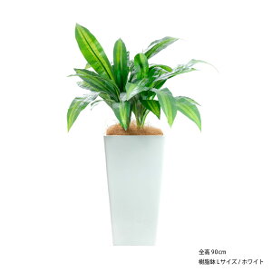 yyVX[p[Z[ 10%OFFztFCNO[ lHϗtA ^ G} L R nC   rO 傫 { A t  CTG} A 썑 gs