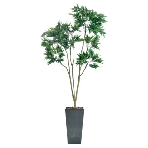 _10%OFFN[|^ tFCNO[ ϗtA tFCN lHϗtA ^  G} L R   rO { A  CTG} A CeA k j