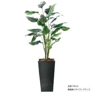 _10%OFFN[|^ tFCNO[ ϗtA tFCN lHϗtA ^ G}  A A M{EV CeA  lH CTG} L j v[g 蕨 JX 