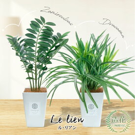 フェイクグリーン 観葉植物 フェイク ミニ リアル 人工観葉植物 造花 卓上 ミニ観葉 ザミオクルカス ドラセナ 光触媒 鉢植 インテリア おしゃれ CT触媒 消臭 抗菌 お祝い 贈り物 [fd][nnf] [rcp] / ル・リアン ザミオクルカス・ドラセナ