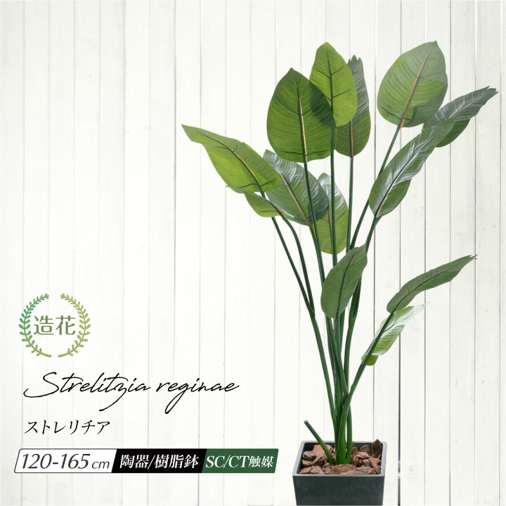 楽天市場】フェイクグリーン 大型 観葉植物 フェイク 人工観葉植物  