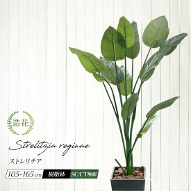 ＼10%OFFクーポンあり／ フェイクグリーン オーガスタ 大型 人工 観葉植物 光触媒 CT触媒 本物そっくり 鉢付 ストレチア レギネ リアル 造花 南国 インテリア トラベラーズパーム 旅人の木 御祝 開店 開業 お祝い 人気 送料無料 / ストレリチア 105〜165cm