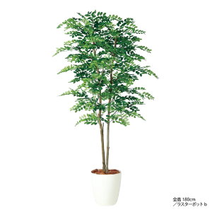 _10%OFFN[|^ tFCNO[ lHϗtA VR؎gp ~U ^ G} CTG} A  A L R  j p[e[V ItBX CeA Ή 