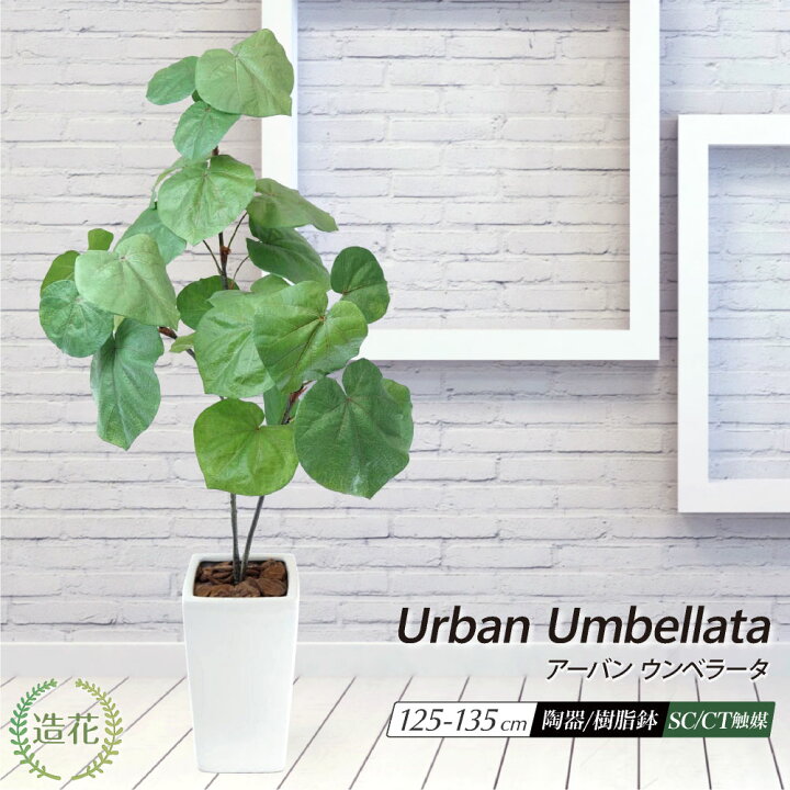 楽天市場】フェイクグリーン ウンベラータ 人工 観葉植物 大型 木 