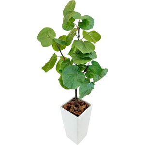 tFCNO[ Ex[^ lH ϗtA ^  G} L R   傫 CeA H AeB[N 킢 IV  X k A CTG}   FRP 