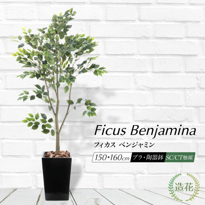 楽天市場】フェイクグリーン 大型 観葉植物 フェイク グリーン 人工  