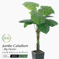 【お買い物マラソン限定 20%OFFセール】フェイクグリーン 大型 シンボルツリー 観葉植物 フェイク 人工観…