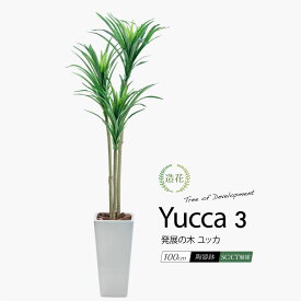 フェイクグリーン 観葉植物 フェイク 人工観葉植物 大型 おしゃれ 光触媒 消臭 抗菌 風水 造花 リビング 本物そっくり 鉢植え 陶器 CT触媒 リアル インテリア 北欧 お祝い 発展の樹 青年の木 / ユッカ 3本枝 100cm [rcp][nnf]