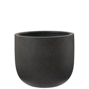 y؂ւ̎tz R[fB U|bg ubN 37cm 10.5 RN[g ۔ Aؔ