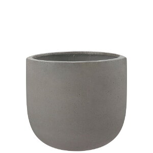 y؂ւ̎tz R[fB U|bg O[ 37cm 10.5 RN[g ۔ Aؔ