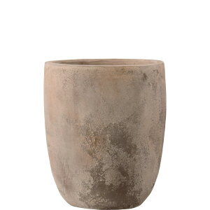 y؂ւ̎tz [K AeBR AgGbO 31x36cm 9 eRb^  ۔ Aؔ |bg
